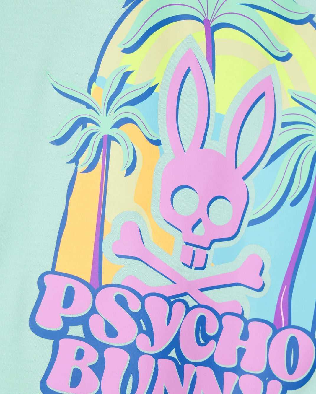 Tees Psycho Bunny Redland Graphic Tee Beach Glass Homme | FLG-64845353